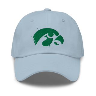 D-R Falcons 66653623 Classic Dad Hat | Yupoong 6245CM