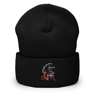 Carteret-Onslow Youth Football & Cheer League (COYFL) Falcons 65584238 Cuffed Beanie | Yupoong 1501KC