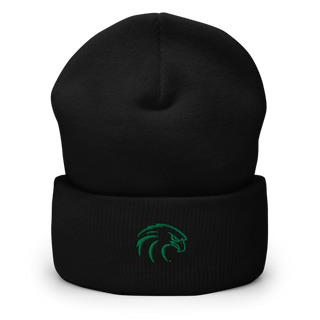 NSU Riverhawks Football 89263546 Cuffed Beanie | Yupoong 1501KC