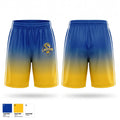 Lakeview Lions Mens Basketball Shorts - 1