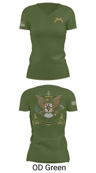 Womens Short Sleeve Vneck Shirt, 402nd Military Police Battalion, , Teamtime, Team time, sublimation, custom sports apparel, team uniforms, spirit wear, spiritwear, sports uniforms, custom shirts, team store, custom team store, fundraiser sports, apparel fundraiser