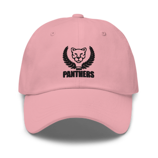 Panthers 50004080 Classic Dad Hat | Yupoong 6245CM