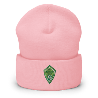 AFC Colorado Dragons 48470583 Cuffed Beanie | Yupoong 1501KC