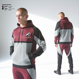 Hoodie, Phoenix, Men's Soccer, Teamtime, Team time, sublimation, custom sports apparel, team uniforms, spirit wear, spiritwear, sports uniforms, custom shirts, team store, custom team store, fundraiser sports, apparel fundraiser