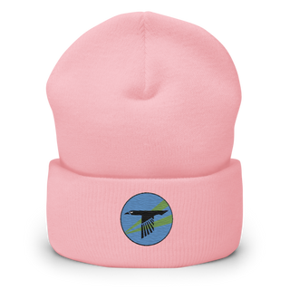 World Famous Black Ravens 41628241 Cuffed Beanie | Yupoong 1501KC