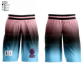 BAU SELECT Mens Basketball Shorts 5