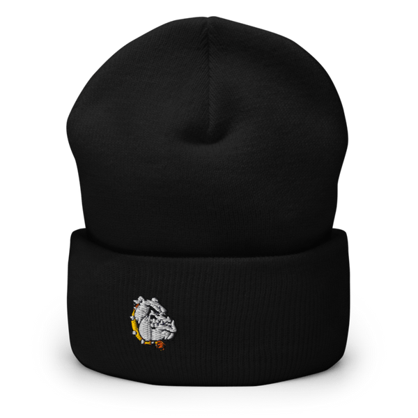 Rudyard Senior High School 10643108 Cuffed Beanie | Yupoong 1501KC