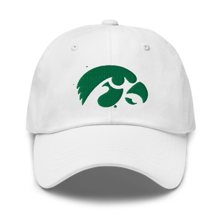 D-R Falcons 66653623 Classic Dad Hat | Yupoong 6245CM