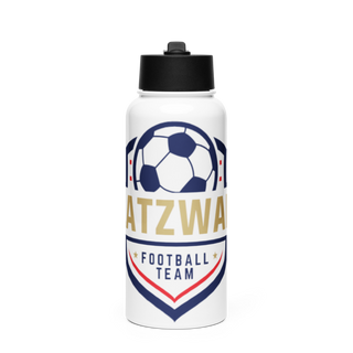 163rd Air Wing 4864764 Stainless Steel Water Bottle with a Straw Lid