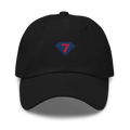 fort worth fire department Dad hat