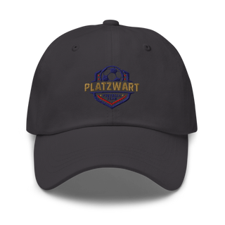 163rd Air Wing 4864764 Classic Dad Hat | Yupoong 6245CM