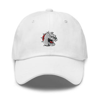 La Plata R-2 Cross Country 78923726 Classic Dad Hat | Yupoong 6245CM