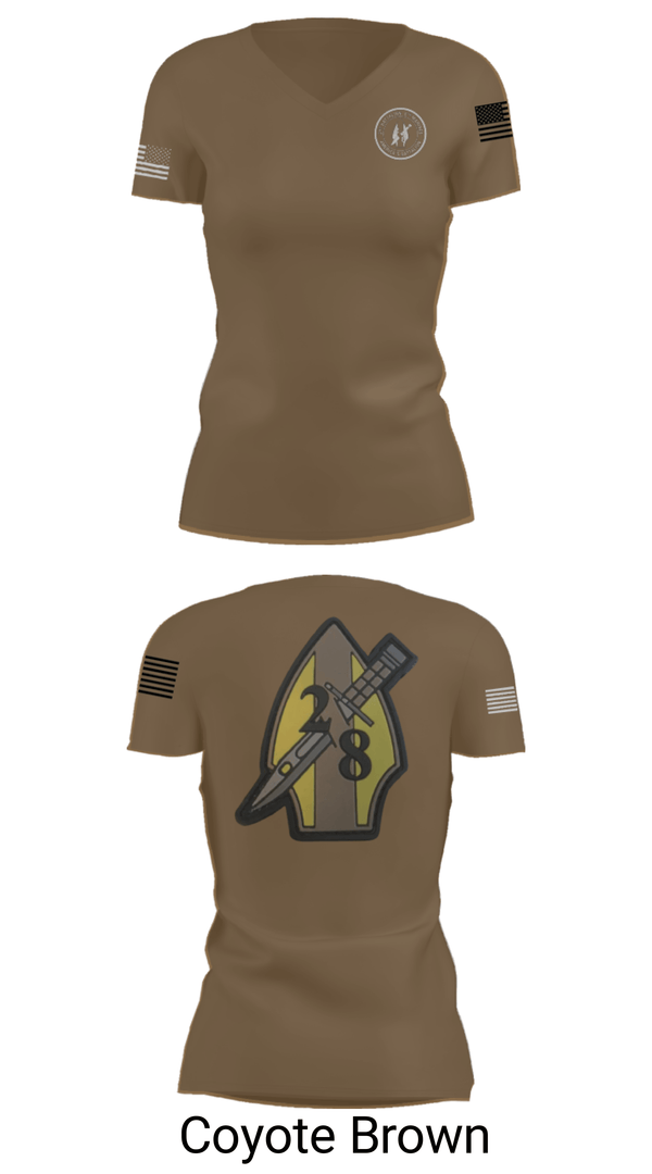Womens Short Sleeve Vneck Shirt, 2nd bn 8th Marines, Marines, Teamtime, Team time, sublimation, custom sports apparel, team uniforms, spirit wear, spiritwear, sports uniforms, custom shirts, team store, custom team store, fundraiser sports, apparel fundraiser