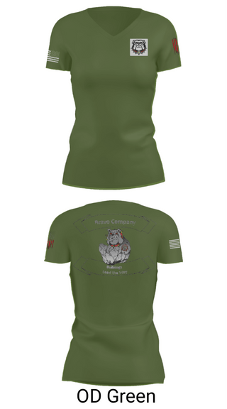 Women's Short Sleeve Vneck Shirt, 16TH ordnance Bravo Company, , Teamtime, Team time, sublimation, custom sports apparel, team uniforms, spirit wear, spiritwear, sports uniforms, custom shirts, team store, custom team store, fundraiser sports, apparel fundraiser