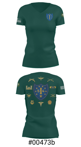 Women's Short Sleeve Vneck Shirt, 54th Troop Command, National Guard, Teamtime, Team time, sublimation, custom sports apparel, team uniforms, spirit wear, spiritwear, sports uniforms, custom shirts, team store, custom team store, fundraiser sports, apparel fundraiser