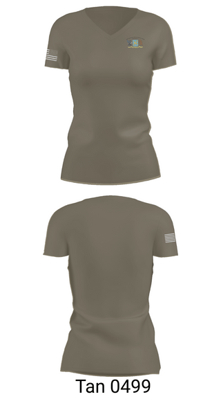 Womens Short Sleeve Vneck Shirt, 250th Military Intelligence Battalion, National Guard, Teamtime, Team time, sublimation, custom sports apparel, team uniforms, spirit wear, spiritwear, sports uniforms, custom shirts, team store, custom team store, fundraiser sports, apparel fundraiser