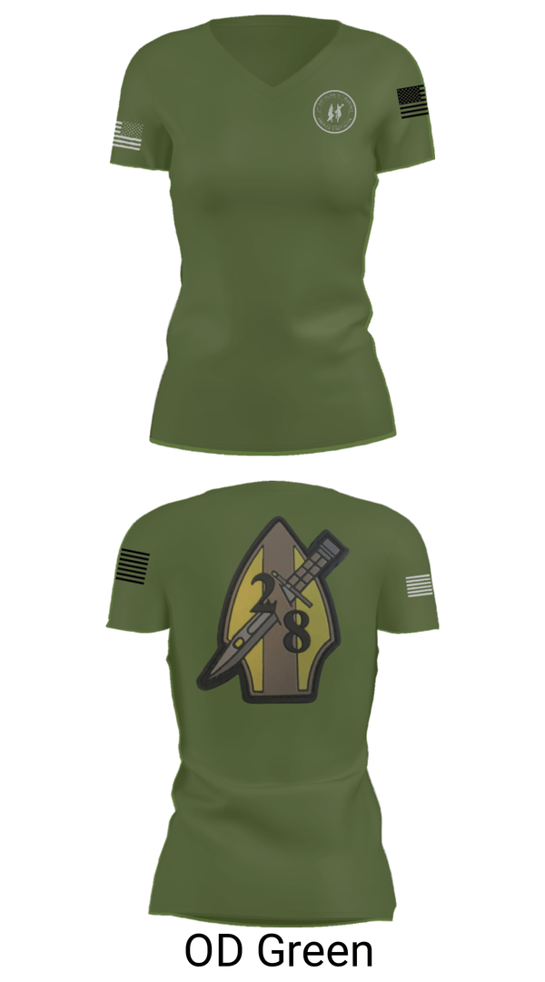 Womens Short Sleeve Vneck Shirt, 2nd bn 8th Marines, Marines, Teamtime, Team time, sublimation, custom sports apparel, team uniforms, spirit wear, spiritwear, sports uniforms, custom shirts, team store, custom team store, fundraiser sports, apparel fundraiser