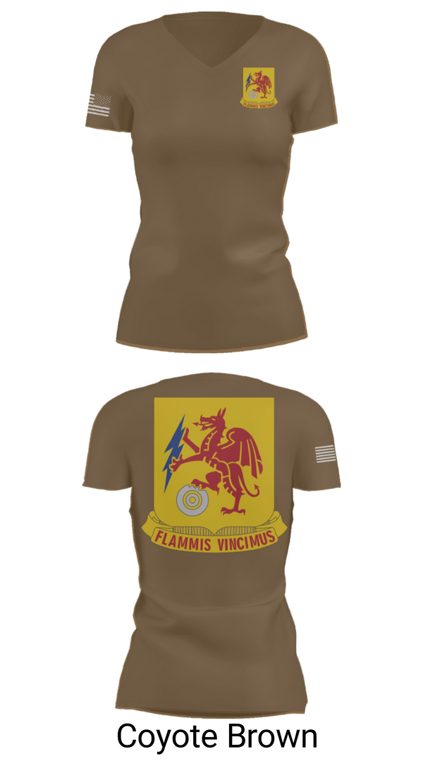 Women's Short Sleeve Vneck Shirt, 2nd Chemical Battalion, Army, Teamtime, Team time, sublimation, custom sports apparel, team uniforms, spirit wear, spiritwear, sports uniforms, custom shirts, team store, custom team store, fundraiser sports, apparel fundraiser