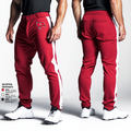 Palatine pirates 8737902 Baseball Pants - 1