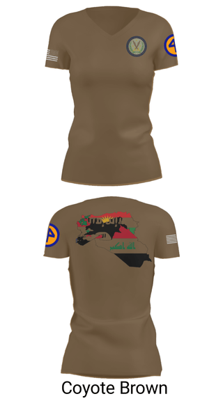 Women's Short Sleeve Vneck Shirt, 44th ICBT, National Guard, Teamtime, Team time, sublimation, custom sports apparel, team uniforms, spirit wear, spiritwear, sports uniforms, custom shirts, team store, custom team store, fundraiser sports, apparel fundraiser
