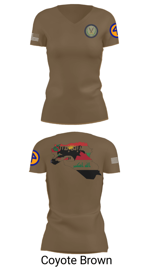 Women's Short Sleeve Vneck Shirt, 44th ICBT, National Guard, Teamtime, Team time, sublimation, custom sports apparel, team uniforms, spirit wear, spiritwear, sports uniforms, custom shirts, team store, custom team store, fundraiser sports, apparel fundraiser