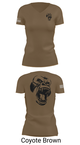 Womens Short Sleeve Vneck Shirt, USS CARL VINSON, , Teamtime, Team time, sublimation, custom sports apparel, team uniforms, spirit wear, spiritwear, sports uniforms, custom shirts, team store, custom team store, fundraiser sports, apparel fundraiser