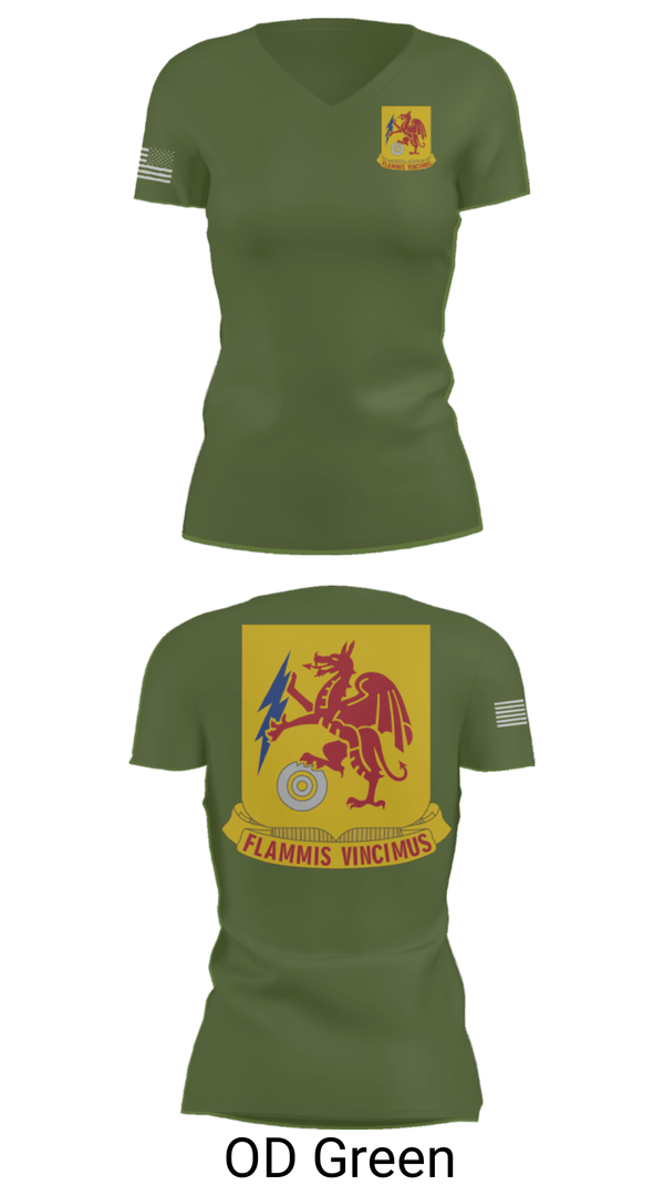 Women's Short Sleeve Vneck Shirt, 2nd Chemical Battalion, Army, Teamtime, Team time, sublimation, custom sports apparel, team uniforms, spirit wear, spiritwear, sports uniforms, custom shirts, team store, custom team store, fundraiser sports, apparel fundraiser
