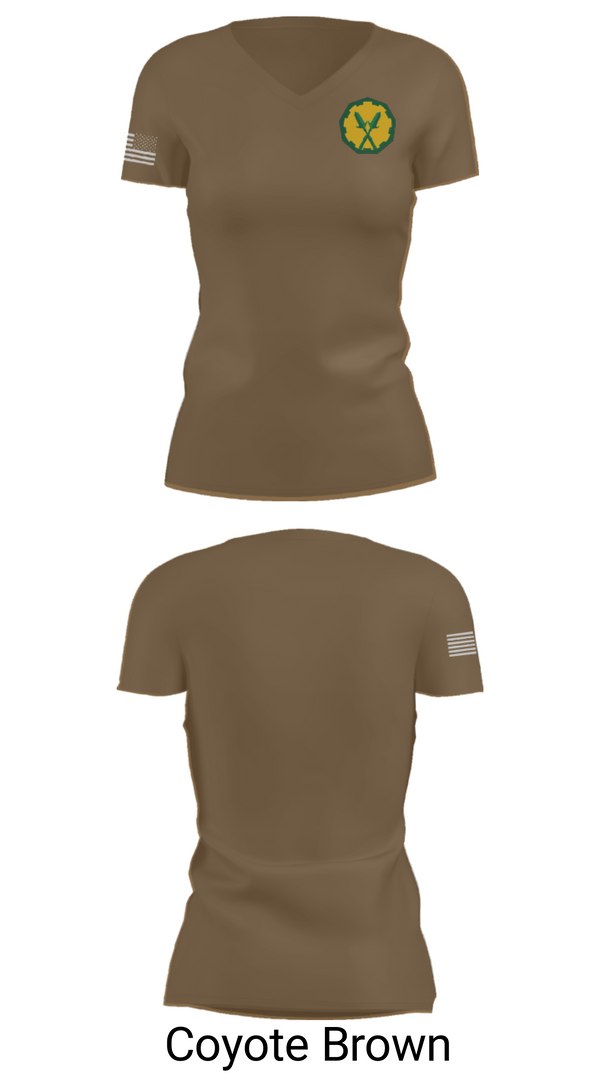 Womens Short Sleeve Vneck Shirt, 160th mp bn, Army, Teamtime, Team time, sublimation, custom sports apparel, team uniforms, spirit wear, spiritwear, sports uniforms, custom shirts, team store, custom team store, fundraiser sports, apparel fundraiser