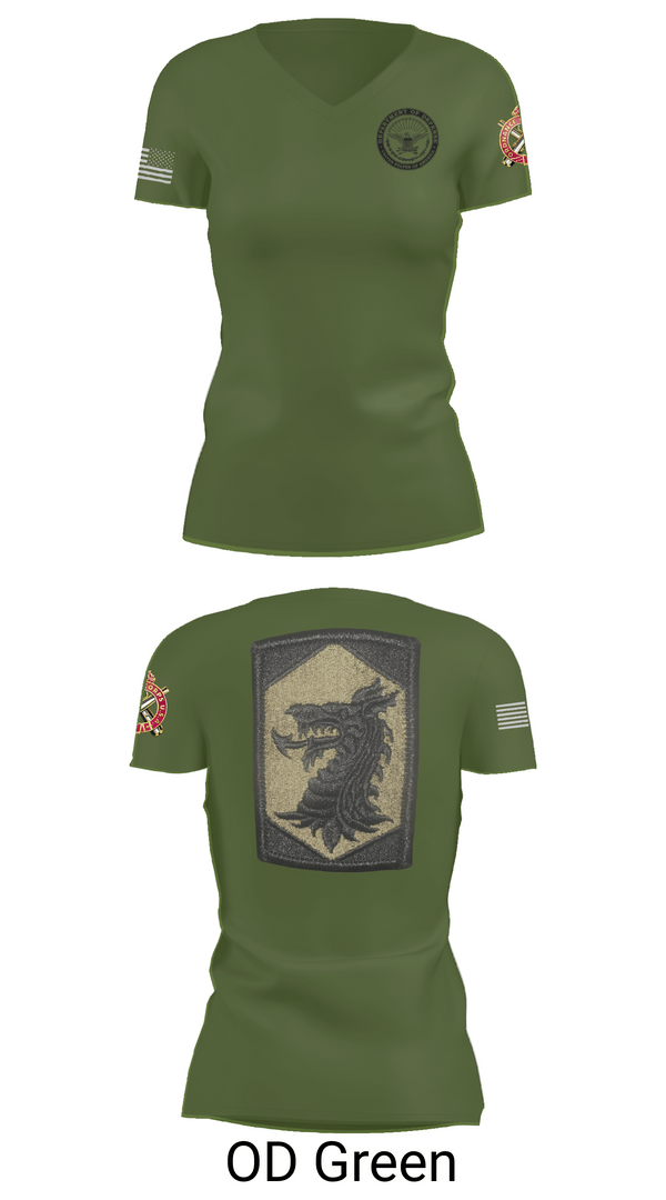 Womens Short Sleeve Vneck Shirt, 445 Chemical Company, National Guard, Teamtime, Team time, sublimation, custom sports apparel, team uniforms, spirit wear, spiritwear, sports uniforms, custom shirts, team store, custom team store, fundraiser sports, apparel fundraiser