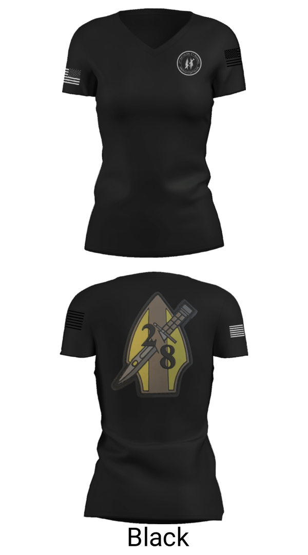 Womens Short Sleeve Vneck Shirt, 2nd bn 8th Marines, Marines, Teamtime, Team time, sublimation, custom sports apparel, team uniforms, spirit wear, spiritwear, sports uniforms, custom shirts, team store, custom team store, fundraiser sports, apparel fundraiser