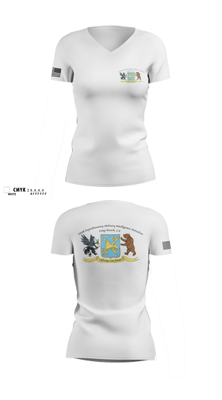 Womens Short Sleeve Vneck Shirt, 250th Military Intelligence Battalion, National Guard, Teamtime, Team time, sublimation, custom sports apparel, team uniforms, spirit wear, spiritwear, sports uniforms, custom shirts, team store, custom team store, fundraiser sports, apparel fundraiser