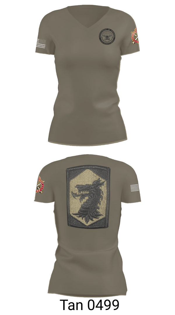 Womens Short Sleeve Vneck Shirt, 445 Chemical Company, National Guard, Teamtime, Team time, sublimation, custom sports apparel, team uniforms, spirit wear, spiritwear, sports uniforms, custom shirts, team store, custom team store, fundraiser sports, apparel fundraiser