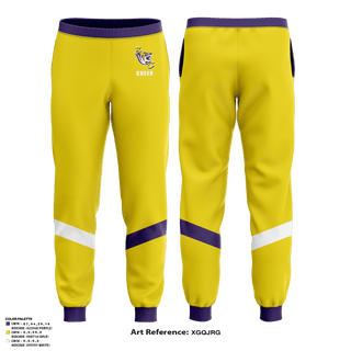 Joggers, Benedict College Cheer, Cheer, Teamtime, Team time, sublimation, custom sports apparel, team uniforms, spirit wear, spiritwear, sports uniforms, custom shirts, team store, custom team store, fundraiser sports, apparel fundraiser