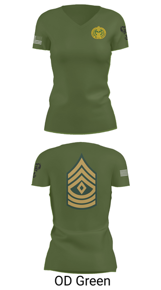 Womens Short Sleeve Vneck Shirt, 82nd ABN div, , Teamtime, Team time, sublimation, custom sports apparel, team uniforms, spirit wear, spiritwear, sports uniforms, custom shirts, team store, custom team store, fundraiser sports, apparel fundraiser