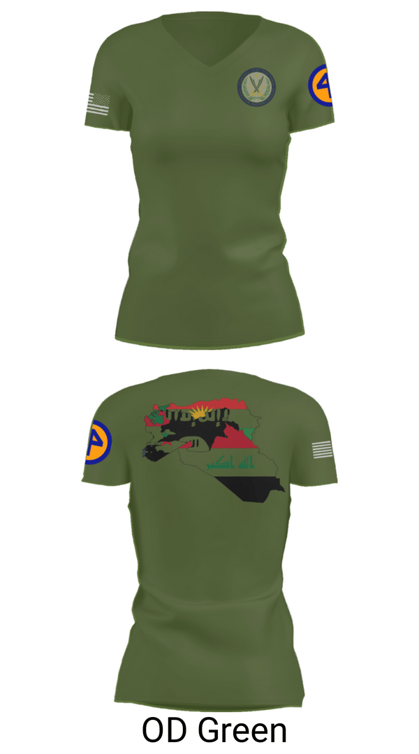Women's Short Sleeve Vneck Shirt, 44th ICBT, National Guard, Teamtime, Team time, sublimation, custom sports apparel, team uniforms, spirit wear, spiritwear, sports uniforms, custom shirts, team store, custom team store, fundraiser sports, apparel fundraiser