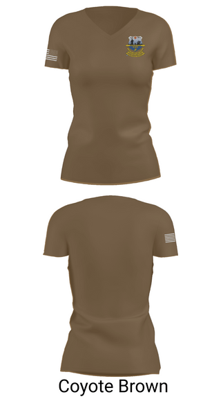 Womens Short Sleeve Vneck Shirt, Echo Co. 2nd battalion, 25th Marine Regiment, , Teamtime, Team time, sublimation, custom sports apparel, team uniforms, spirit wear, spiritwear, sports uniforms, custom shirts, team store, custom team store, fundraiser sports, apparel fundraiser