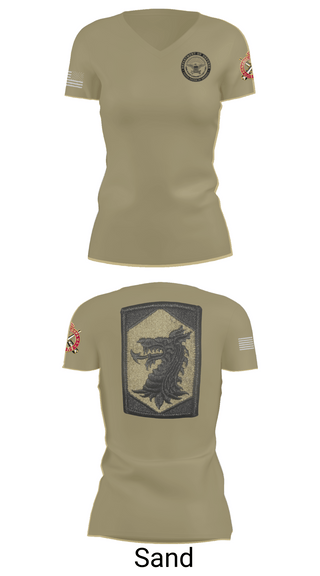 Womens Short Sleeve Vneck Shirt, 445 Chemical Company, National Guard, Teamtime, Team time, sublimation, custom sports apparel, team uniforms, spirit wear, spiritwear, sports uniforms, custom shirts, team store, custom team store, fundraiser sports, apparel fundraiser