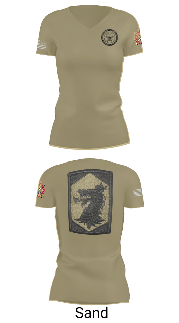 Womens Short Sleeve Vneck Shirt, 445 Chemical Company, National Guard, Teamtime, Team time, sublimation, custom sports apparel, team uniforms, spirit wear, spiritwear, sports uniforms, custom shirts, team store, custom team store, fundraiser sports, apparel fundraiser