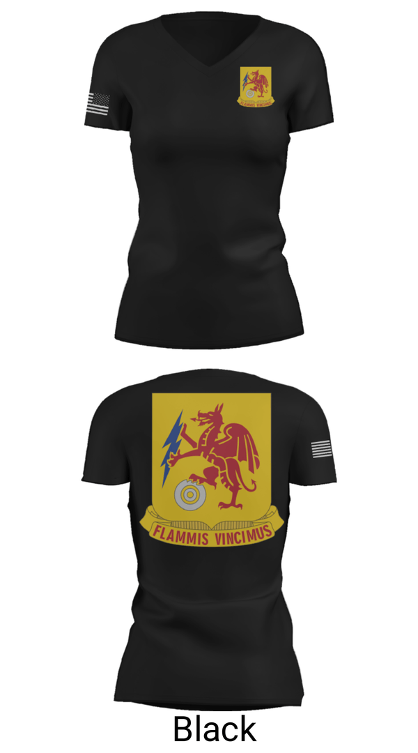 Women's Short Sleeve Vneck Shirt, 2nd Chemical Battalion, Army, Teamtime, Team time, sublimation, custom sports apparel, team uniforms, spirit wear, spiritwear, sports uniforms, custom shirts, team store, custom team store, fundraiser sports, apparel fundraiser