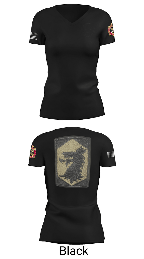 Womens Short Sleeve Vneck Shirt, 445 Chemical Company, National Guard, Teamtime, Team time, sublimation, custom sports apparel, team uniforms, spirit wear, spiritwear, sports uniforms, custom shirts, team store, custom team store, fundraiser sports, apparel fundraiser