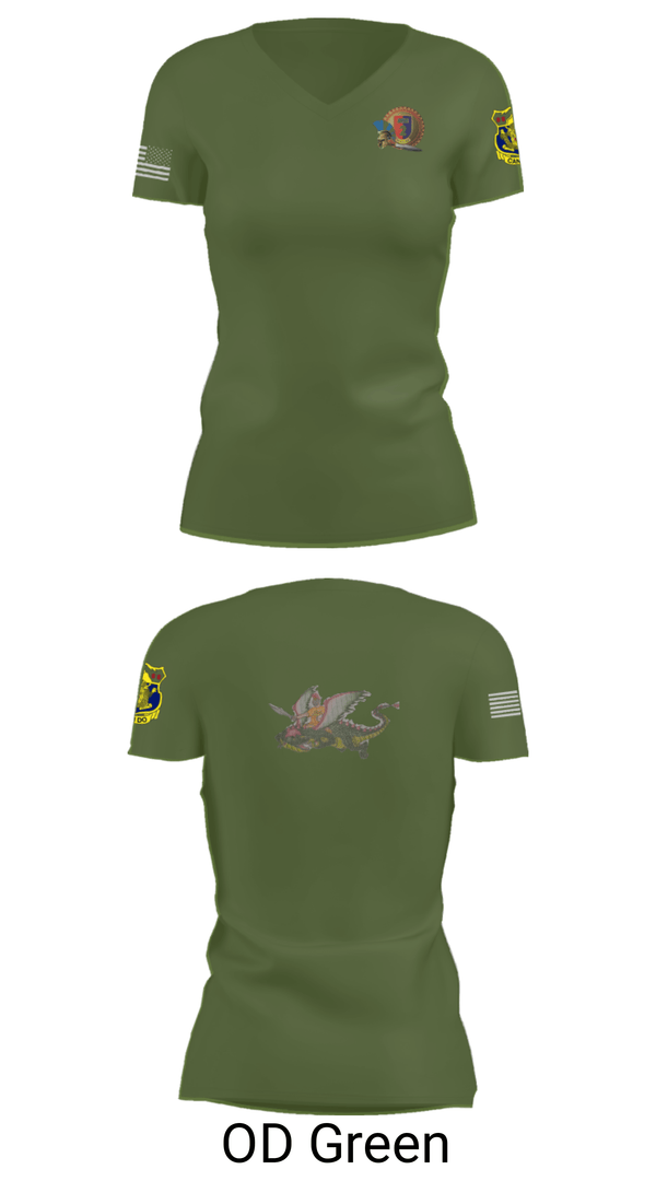 Women's Short Sleeve Vneck Shirt, India Company 3-15, , Teamtime, Team time, sublimation, custom sports apparel, team uniforms, spirit wear, spiritwear, sports uniforms, custom shirts, team store, custom team store, fundraiser sports, apparel fundraiser