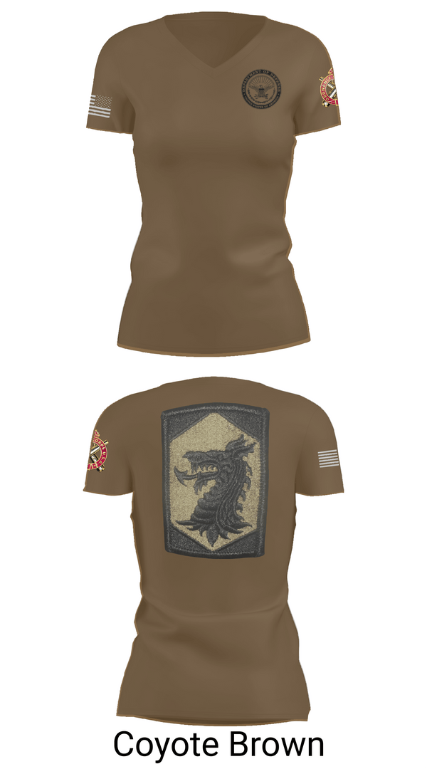 Womens Short Sleeve Vneck Shirt, 445 Chemical Company, National Guard, Teamtime, Team time, sublimation, custom sports apparel, team uniforms, spirit wear, spiritwear, sports uniforms, custom shirts, team store, custom team store, fundraiser sports, apparel fundraiser