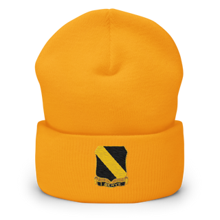 Fco 51st infantry LRSU 81538423 Cuffed Beanie | Yupoong 1501KC