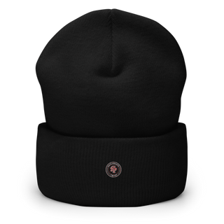 Sacramento Twins Cuffed Beanie | Yupoong 1501KC