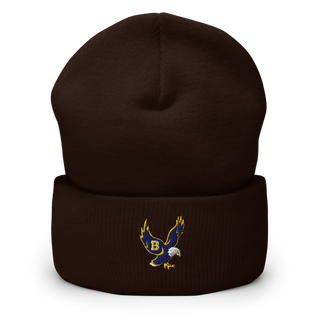 Barrington High School Gymnastics Cuffed Beanie | Yupoong 1501KC