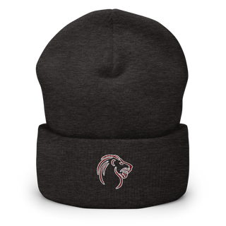 Biggersville High School 45490273 Cuffed Beanie | Yupoong 1501KC