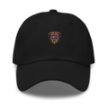 JDO CLASS # 44 Dad hat