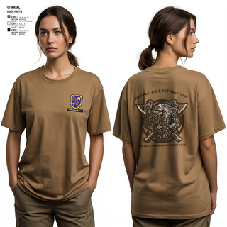 Womens Short Sleeve Vneck Shirt, Co A, 1st-160th INF, 79th IBCT, , Teamtime, Team time, sublimation, custom sports apparel, team uniforms, spirit wear, spiritwear, sports uniforms, custom shirts, team store, custom team store, fundraiser sports, apparel fundraiser