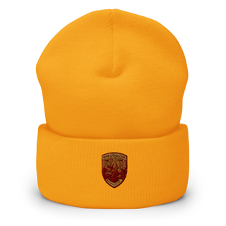 509 SFS509 SFS Cuffed Beanie | Yupoong 1501KC