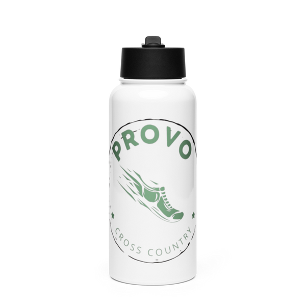 Provo 70425817 Stainless Steel Water Bottle with a Straw Lid